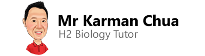 A Level biology tuition